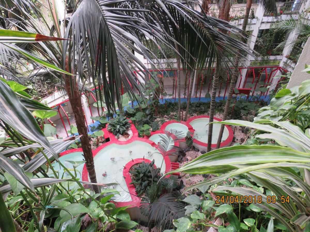 Apartament Benal